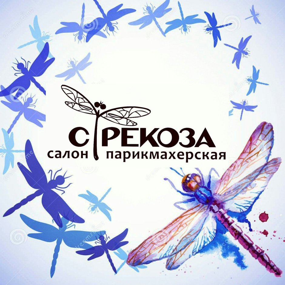 Стрекоза лого салон красоты
