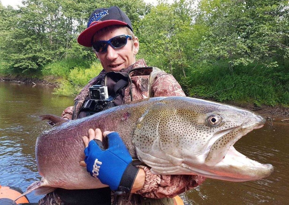 Браконьерство Сахалин Эковахта