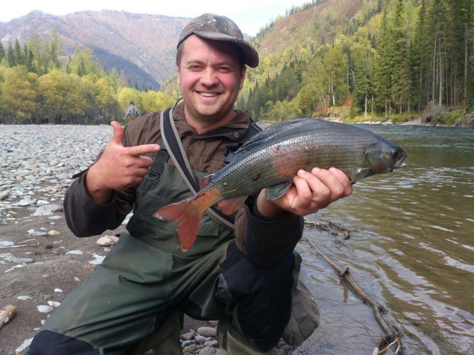 Река Енисей рыбалка
