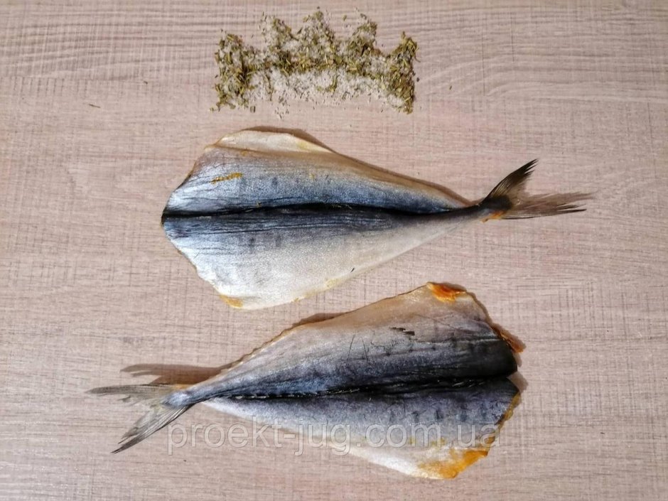 Королевский полосатик купить