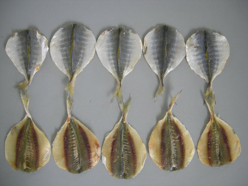Полосатик Fish House жёлтый 70г