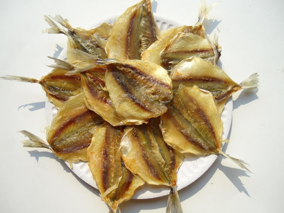 Морские рыбы жёлтый полосатик