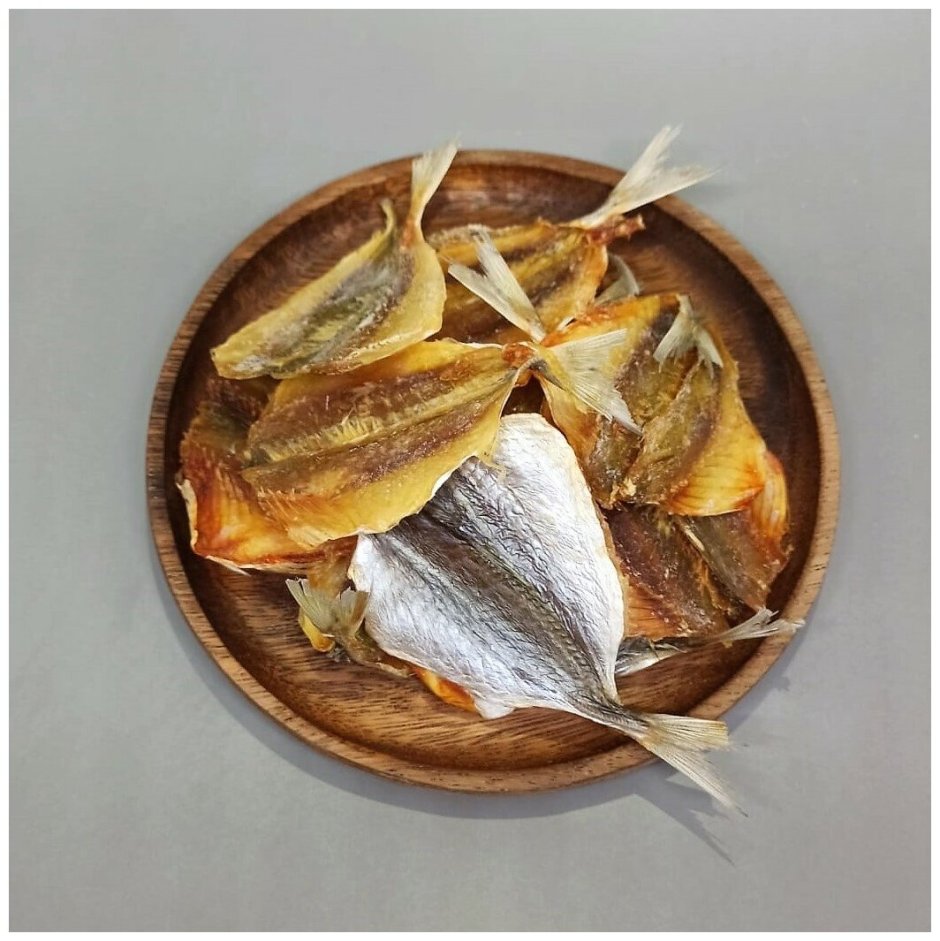 Acanthurus Sohal