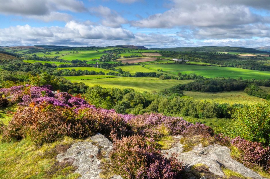 Луга, верещатники. Ирландии