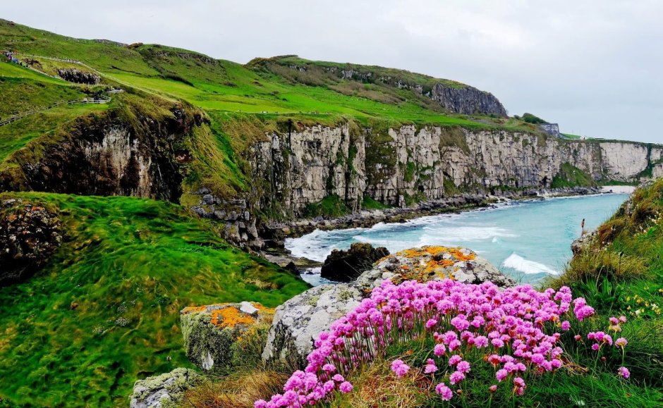 Ирландия графство Клэр