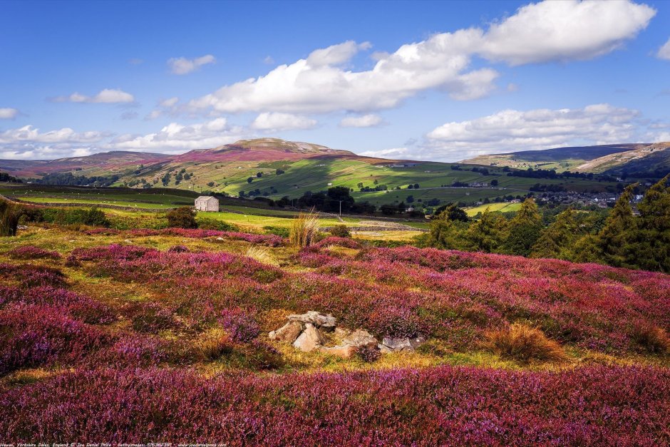 Вересковые пустоши Шотландии