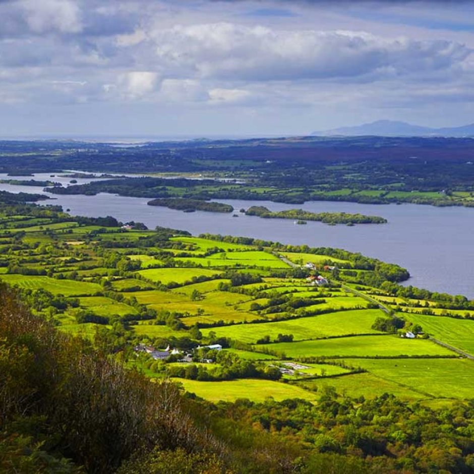 Замок Уоллатон Холл Англия