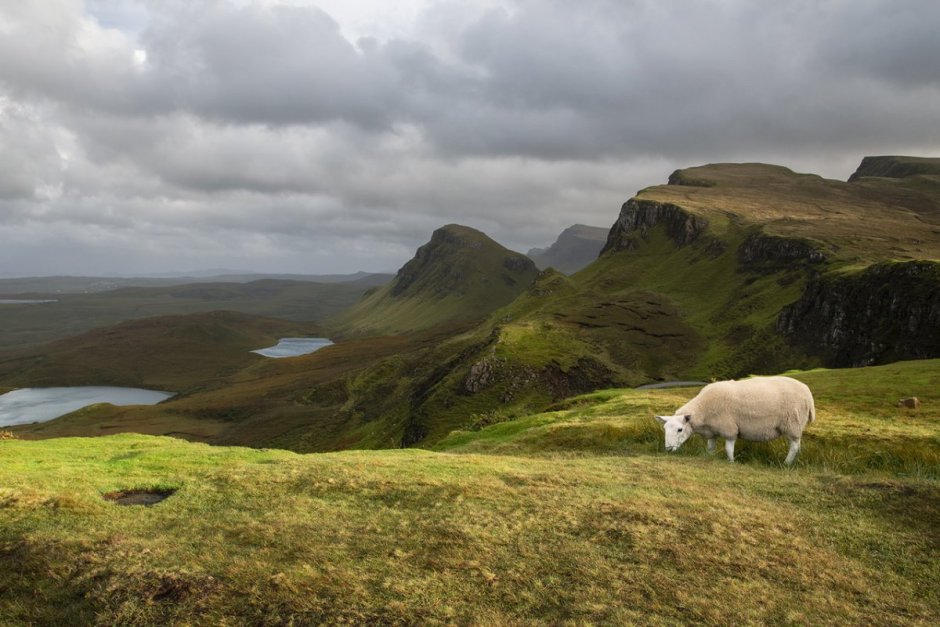 Шаннон Ирландия
