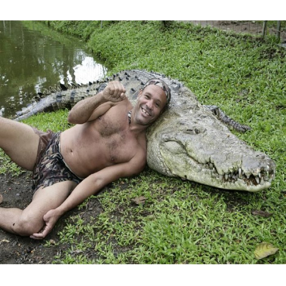Довольный Аллигатор