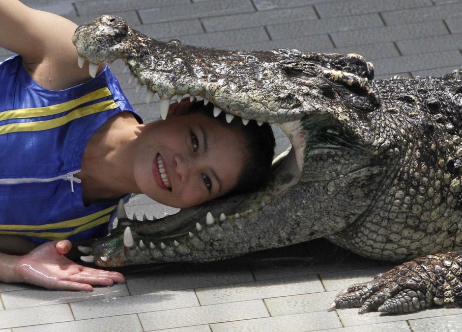 Дети заебут кого угодно