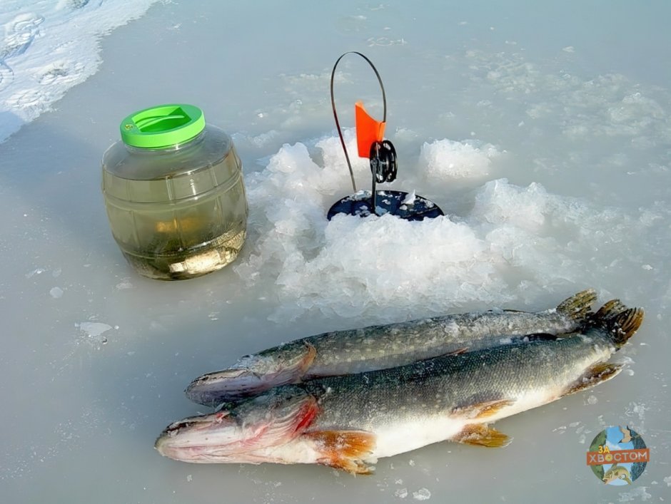Крошечные мальки в Речной воде