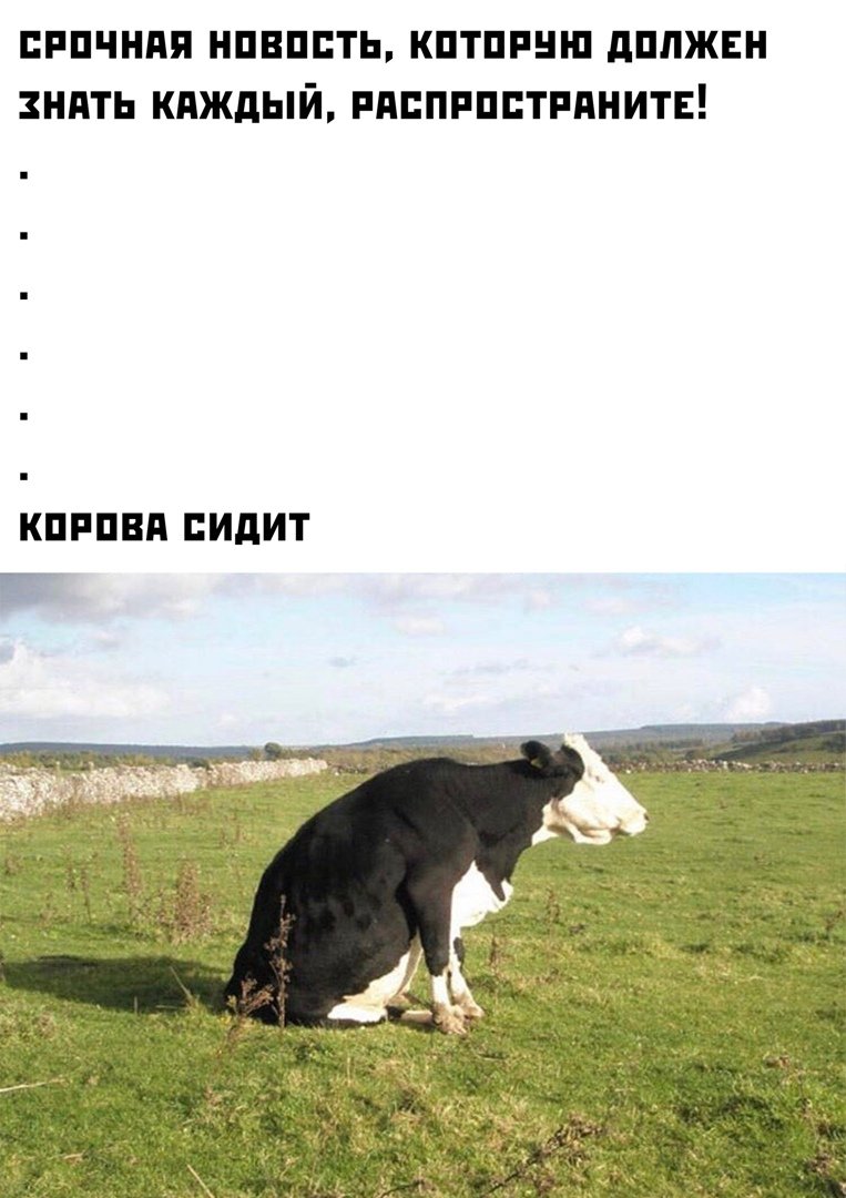 Корова прикол