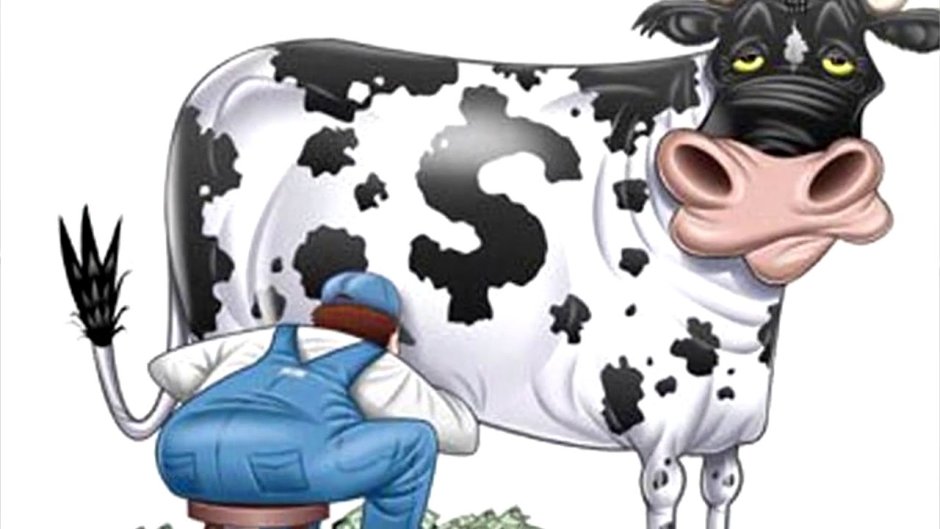 Дойная корова деньги
