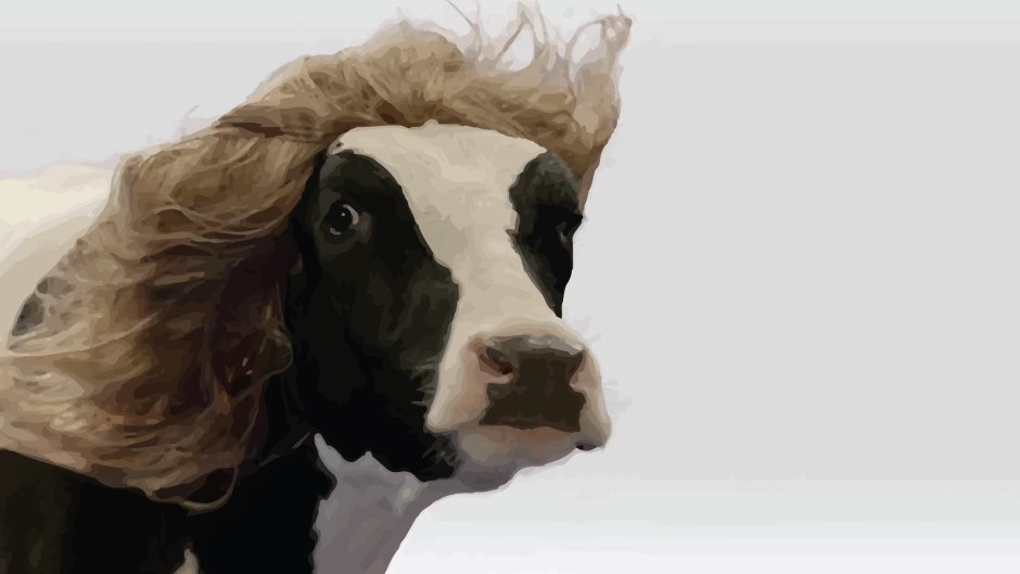 Лицо коровы