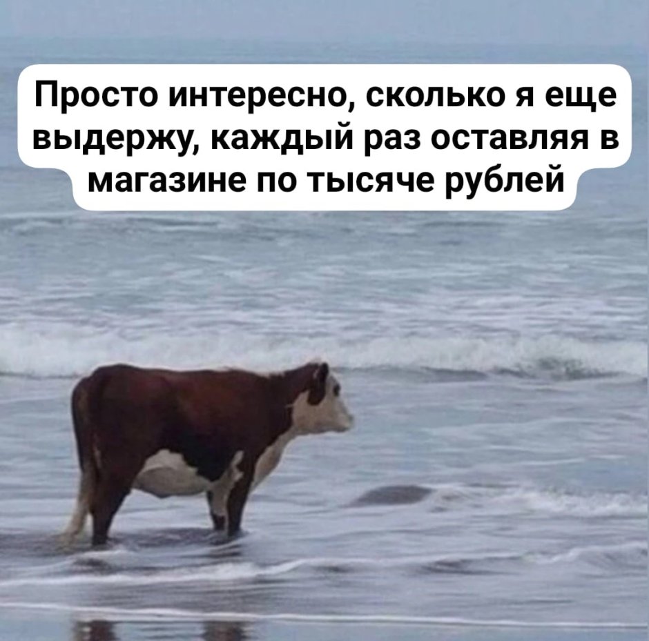 Девушка на ферме