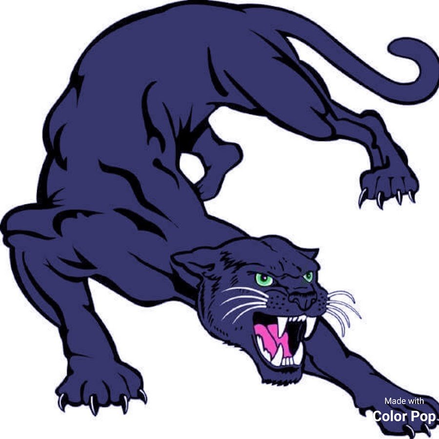 Рычащая пантера в полный рост