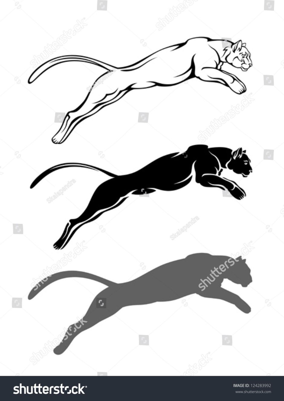 Пантера тату контур