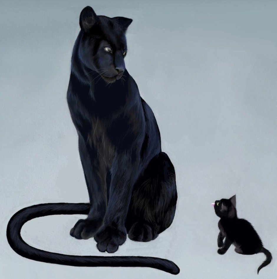 Пантера сидит