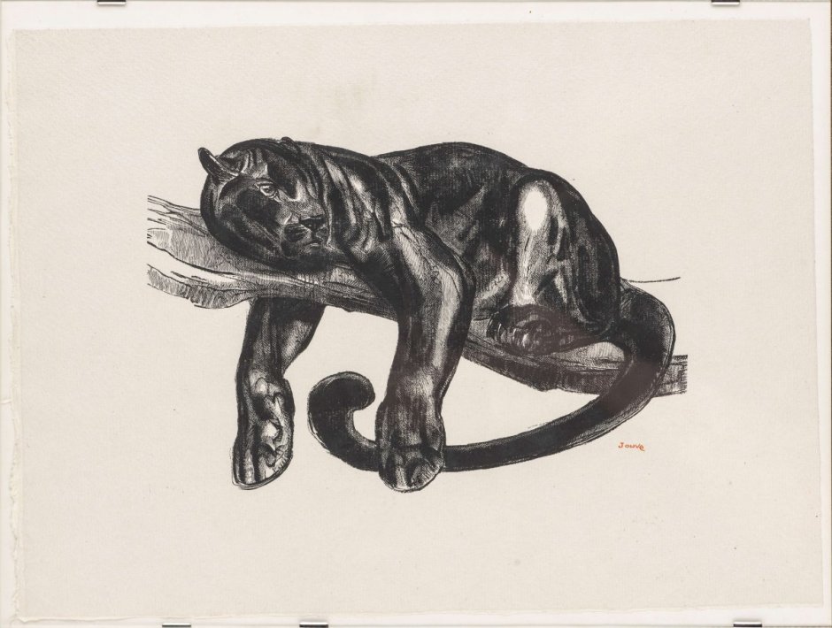 Черная Пума эскиз