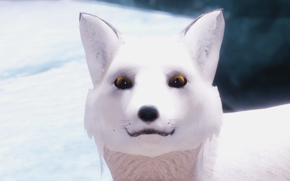 Канадская чернобурая лиса