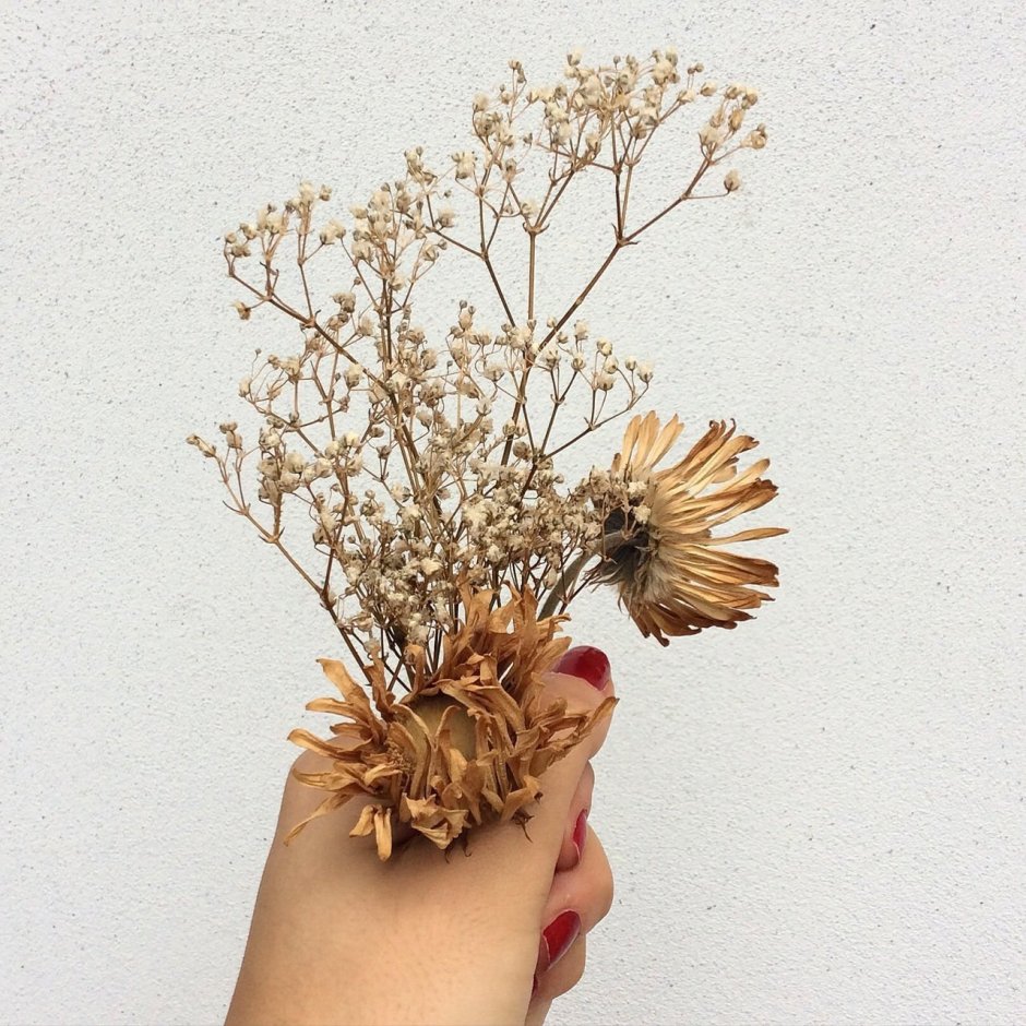 Милые кореянки с игрушками