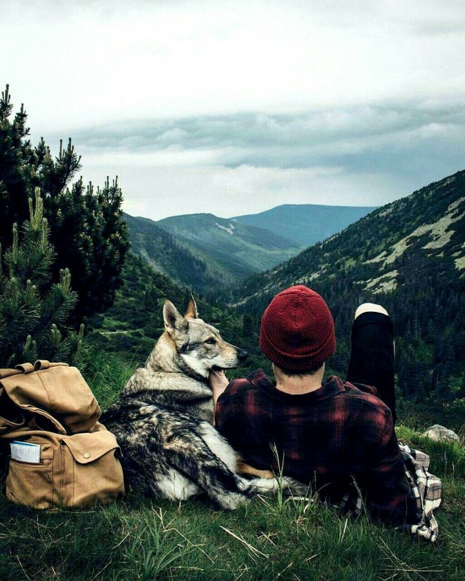 Самые милые волки
