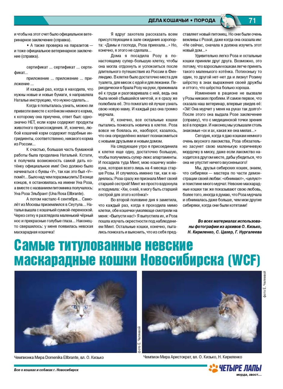 Рэгдолл и Невская маскарадная