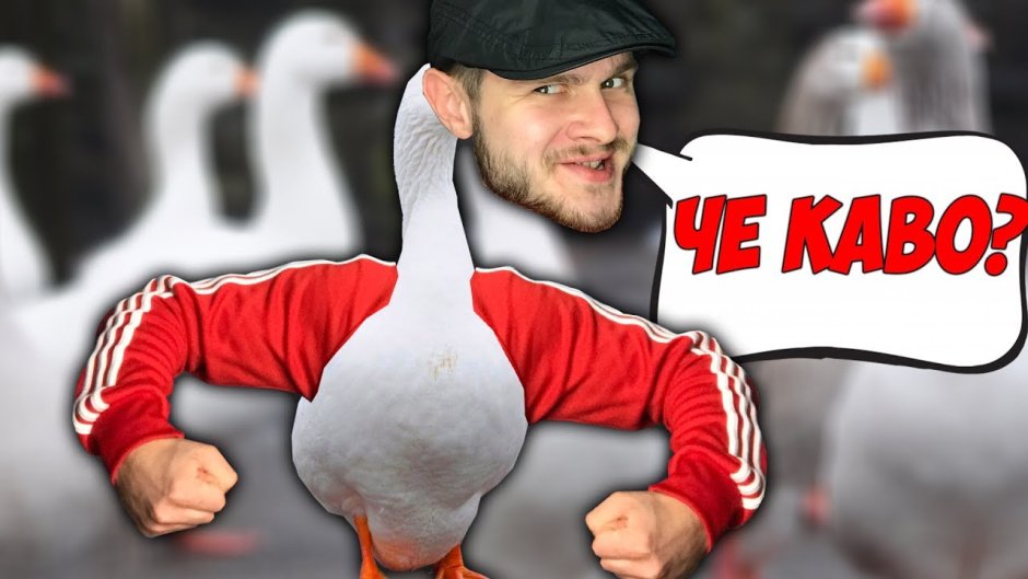 Гоп гуси