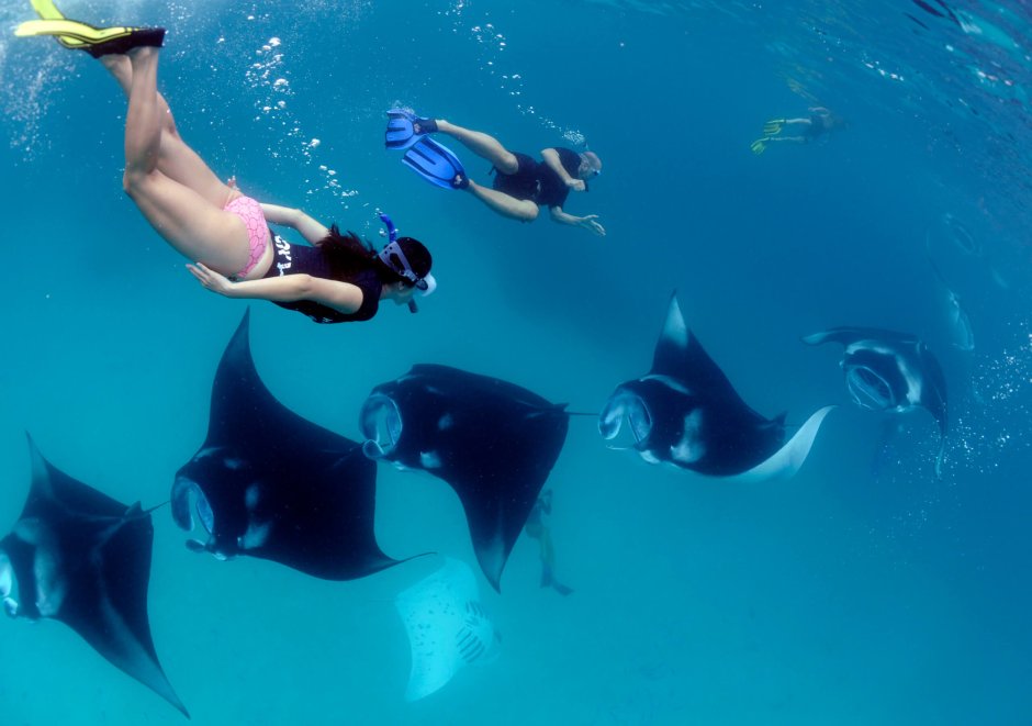 Мальдивы заповедник Ханифару Бэй