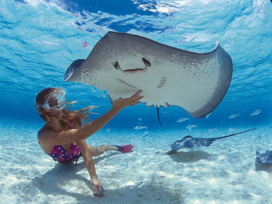 Пунта Кана дайвинг