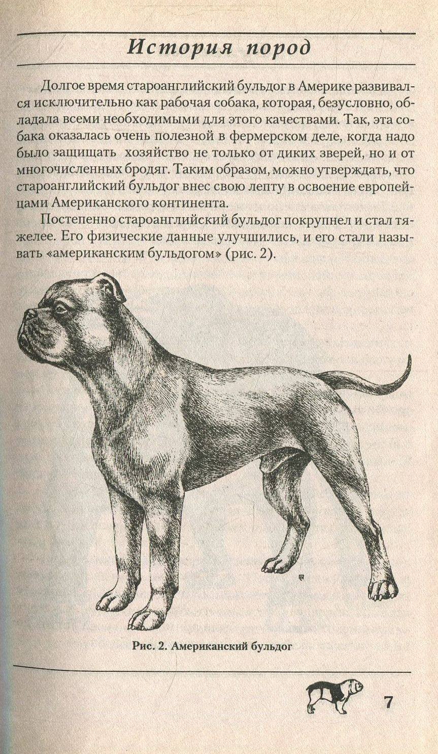 Ассирия рельефы животные