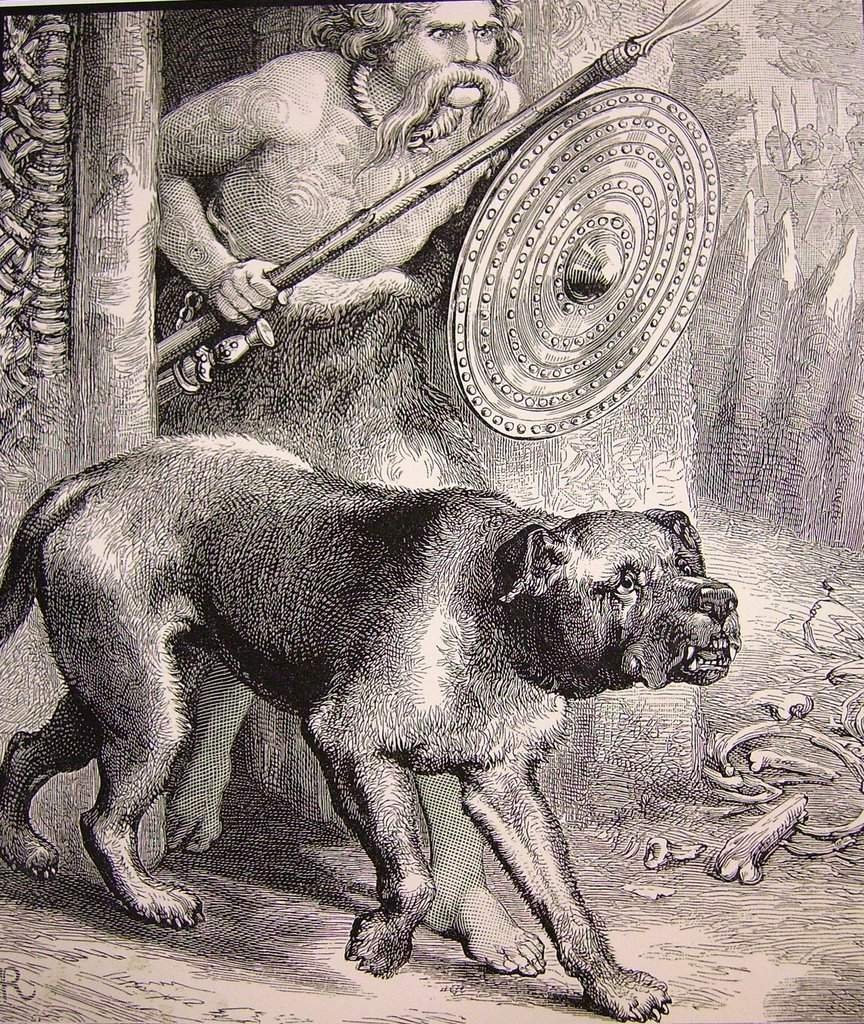 Собаки много живопись