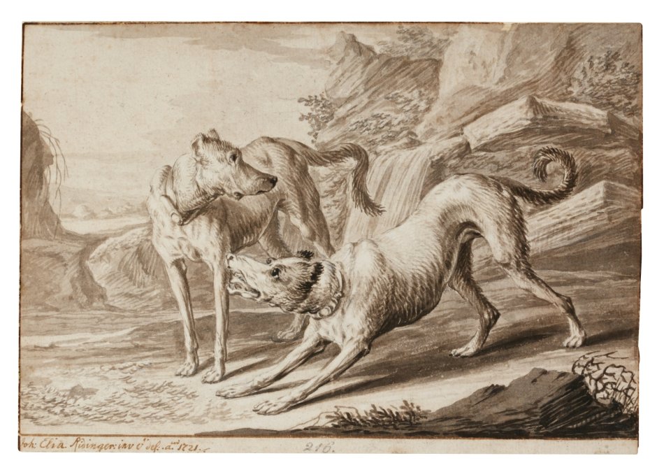 Брабантские булленбейсеры