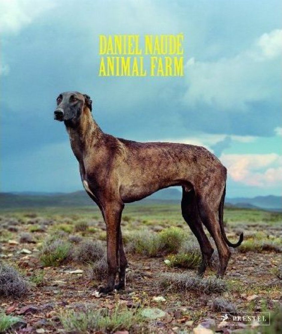 Порода Меделян