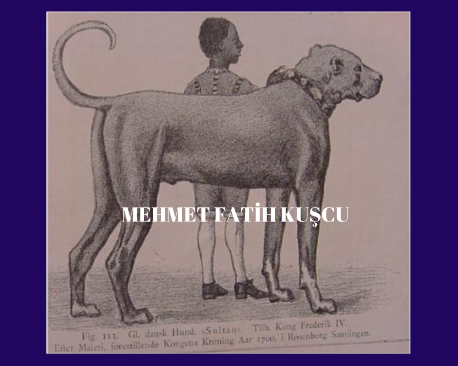 Кордовская Бойцовая