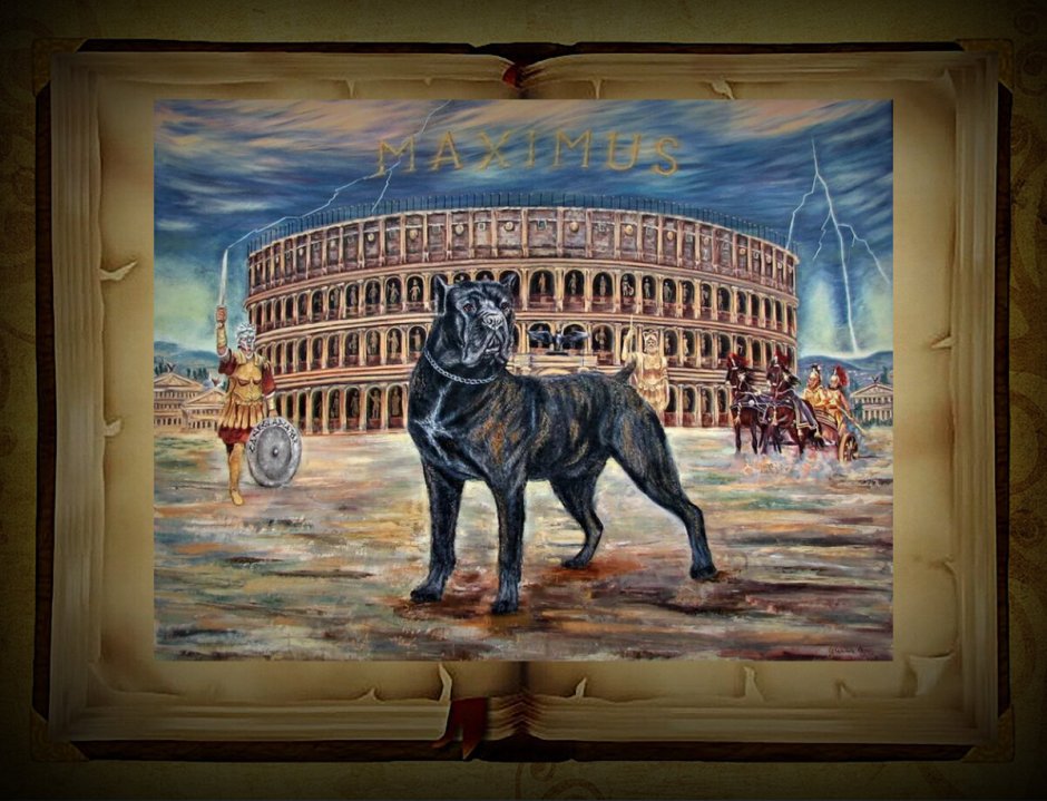 Несчастные бездомные собаки