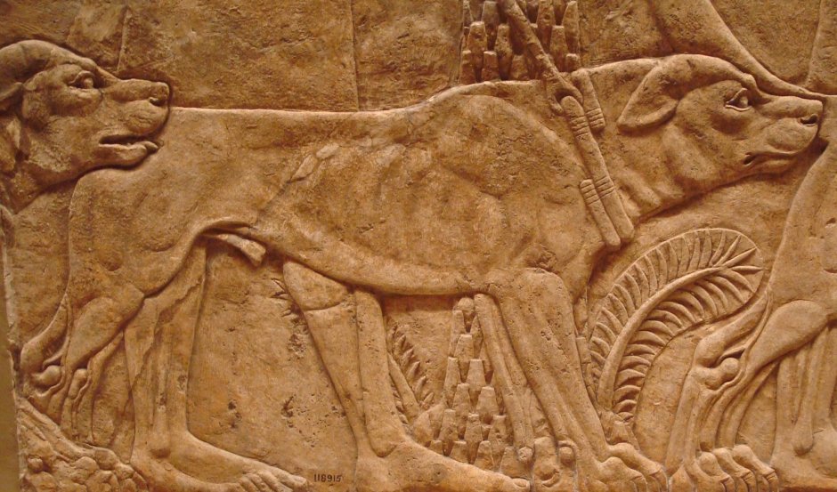 Nn-df383bzpe (инверторная)