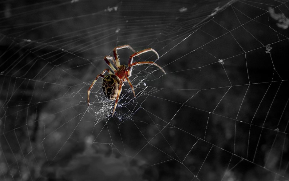 My Chemical Romance Danger Days Spider