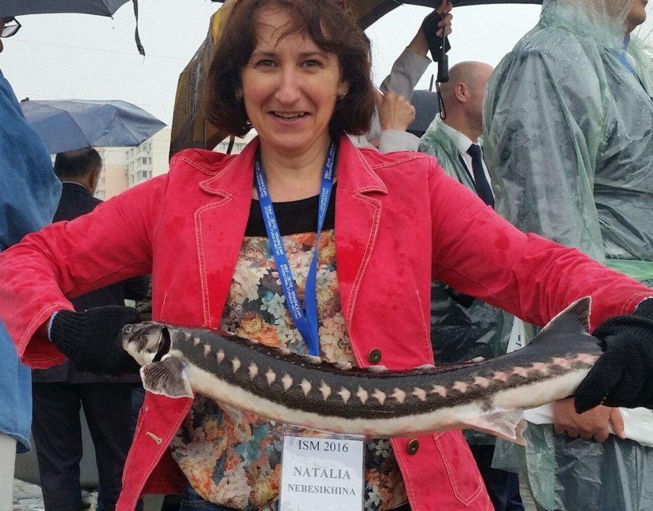 Байкальский осетр