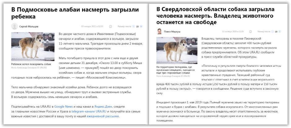Алабай загрыз человека в Свердловской области