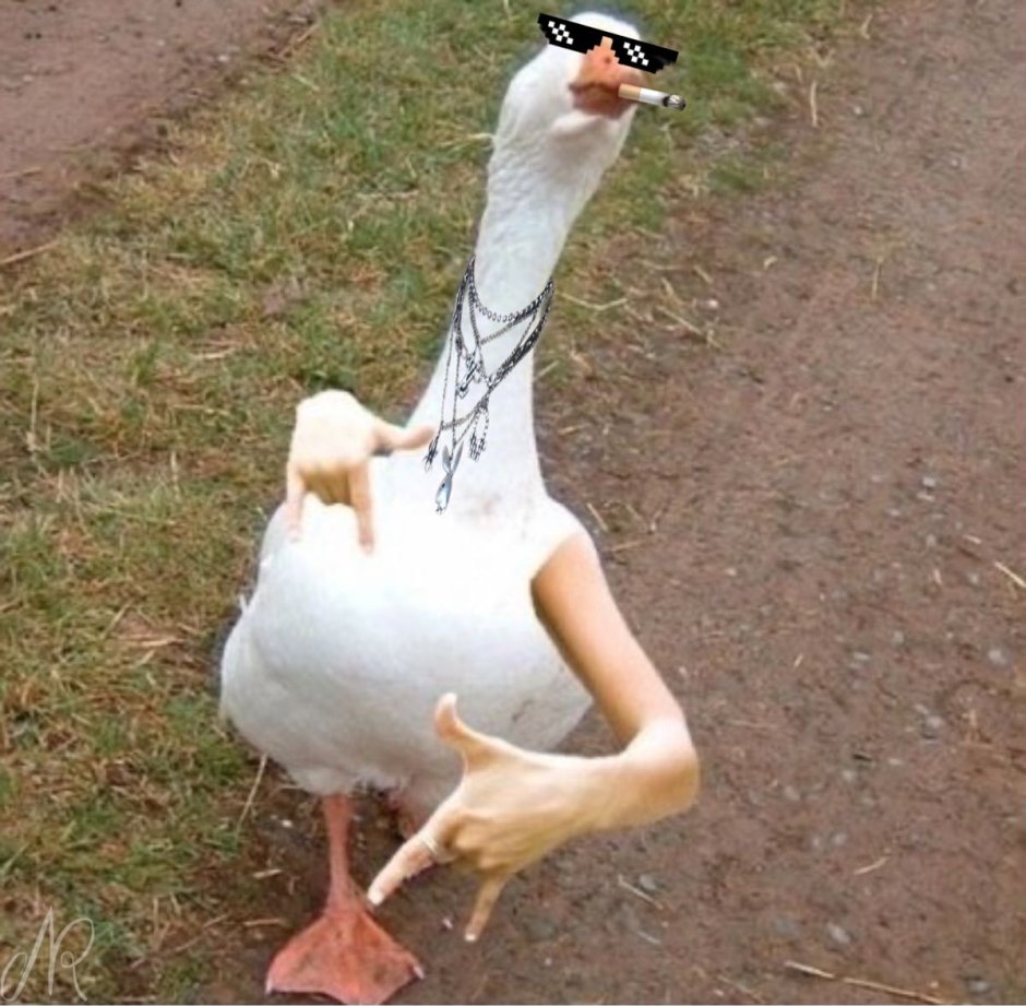 Ржачный Гусь