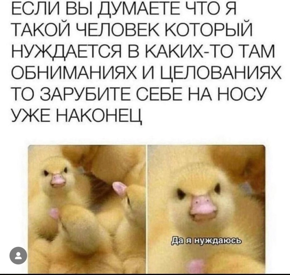 Да я нуждаюсь утенок