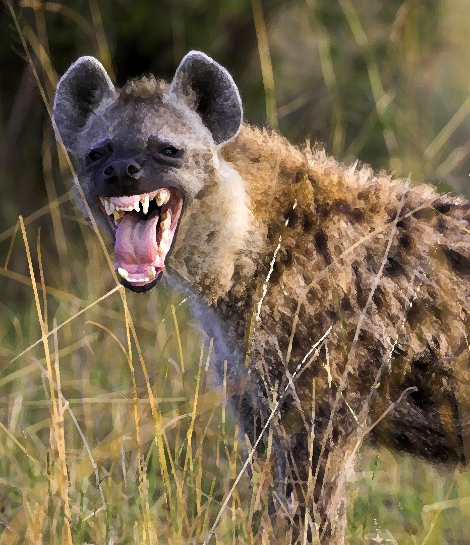 Улыбка гиены