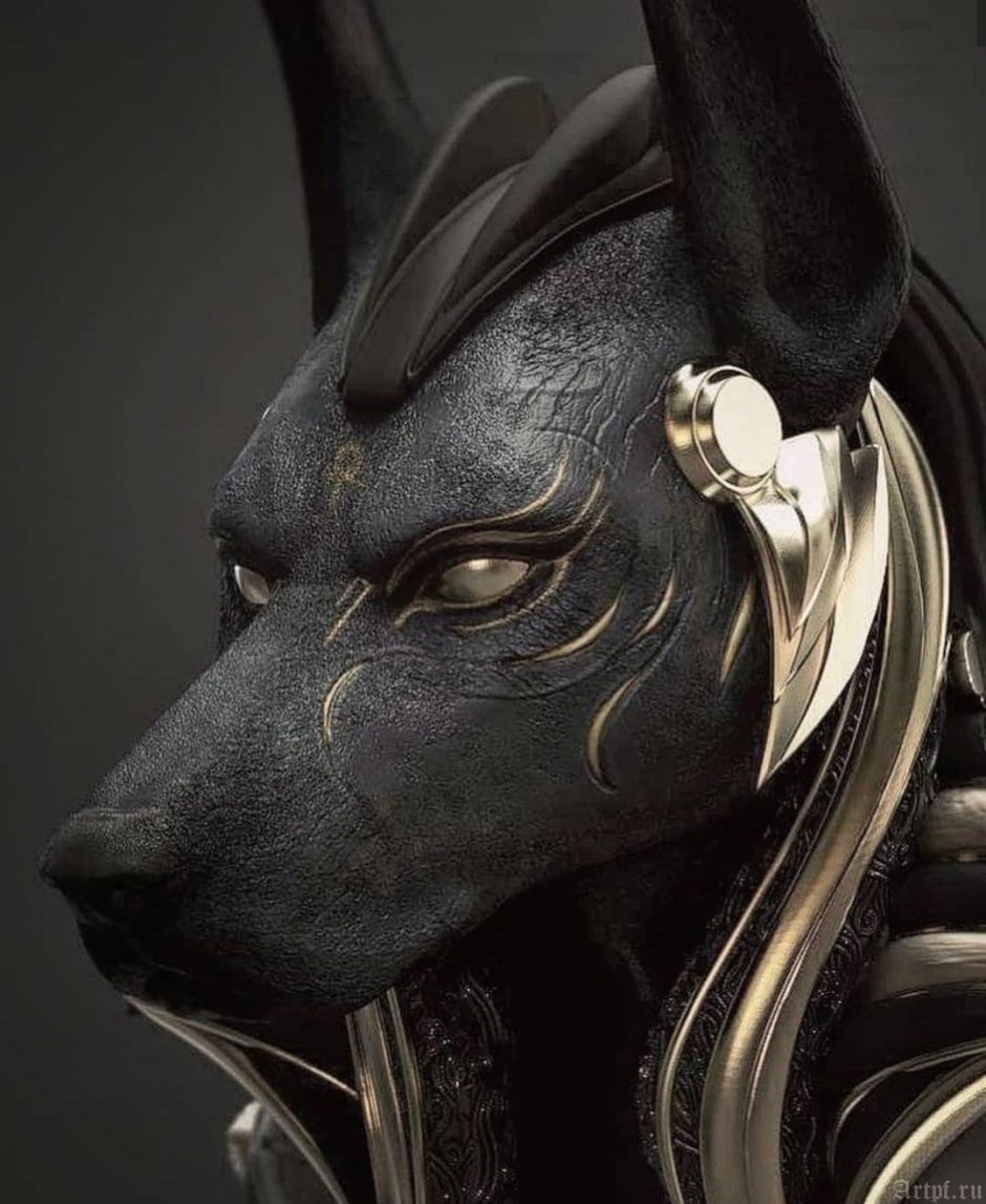 Гиеновидная собака и гиена