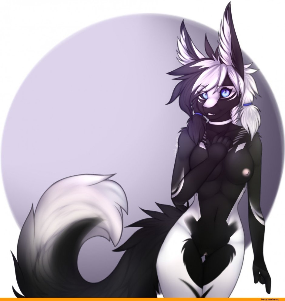 Собака Динго злая