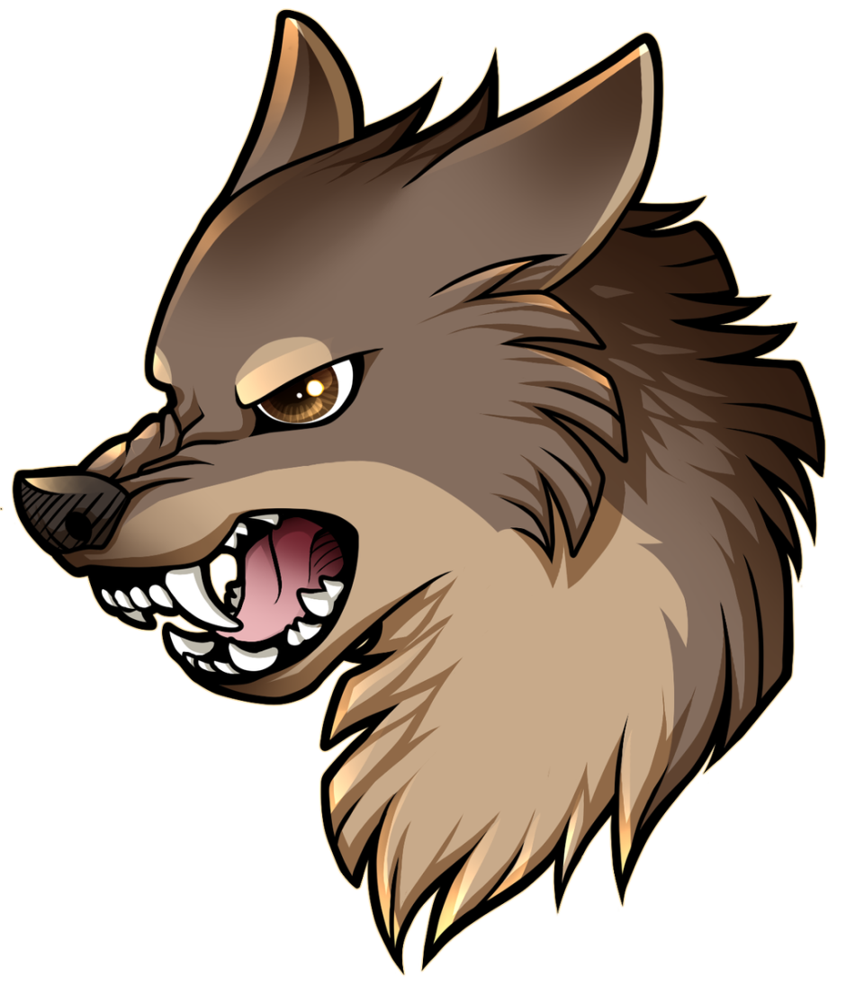 Бордер колли альбинос