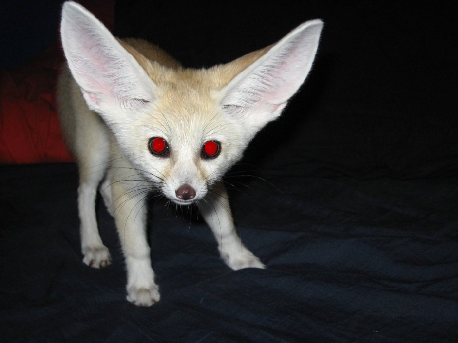 0528134004 Гидрораспределитель Bosch sb23ls