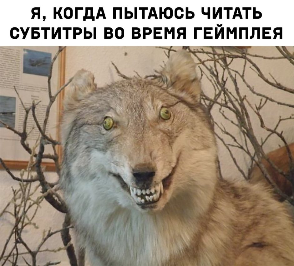 Фурри MCTRANCEFOX киша