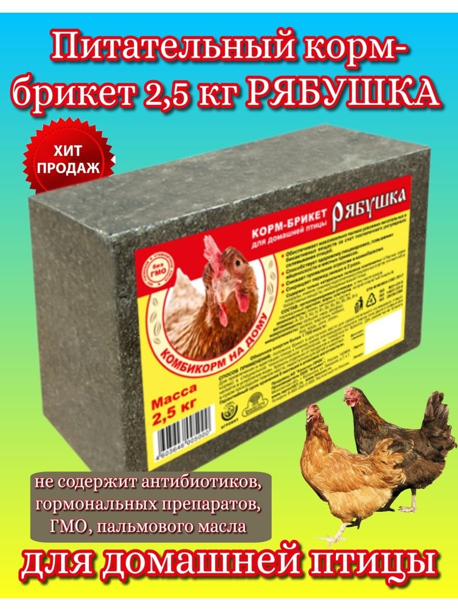 Норма комбикорма для кур несушек в сутки