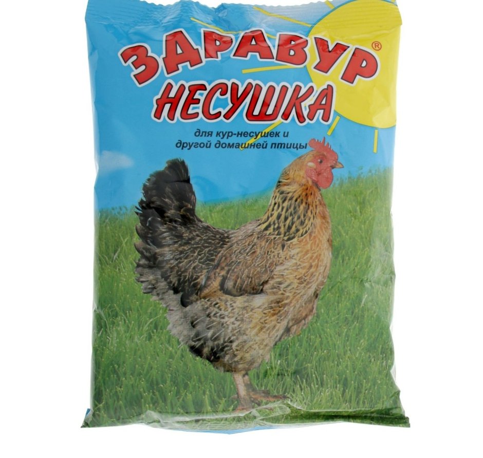 Сибрайт порода